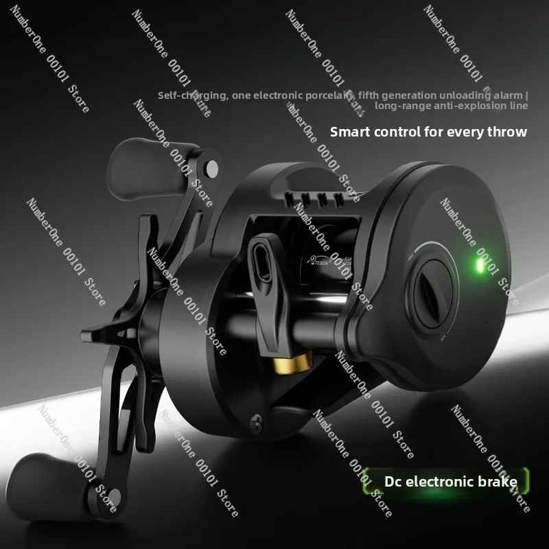 Electronic Magnetic Brake Fish - Conventional Reel review and price